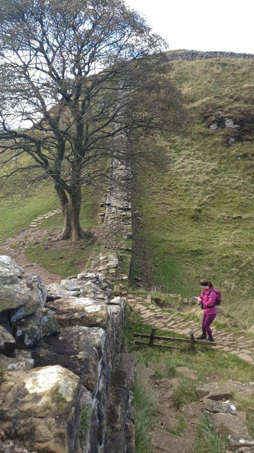 Moonflower Lodge Newton on the Moor Luaran gambar
